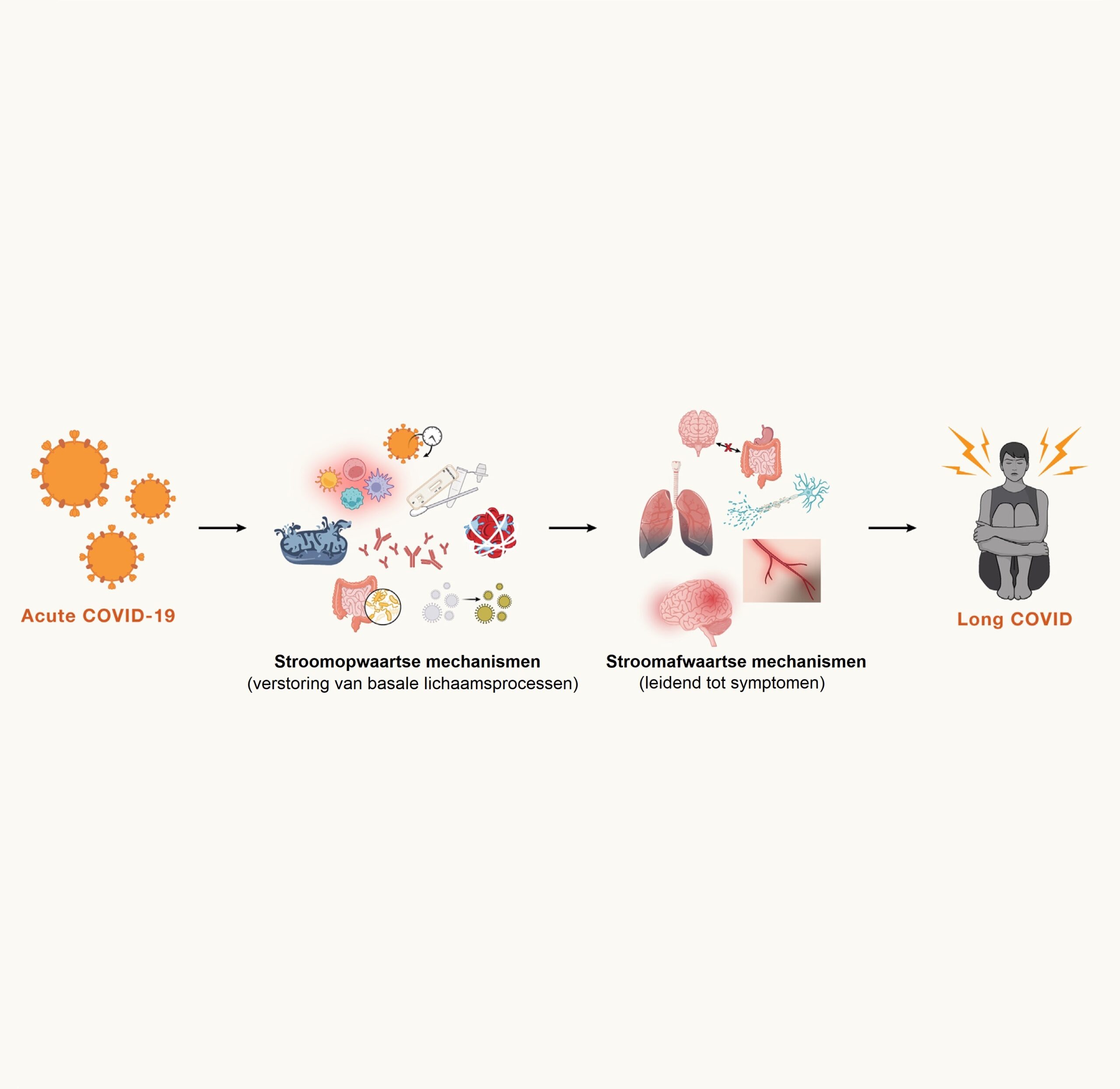 Mechanisms of long COVID and the path toward therapeutics - Kennis | C ...